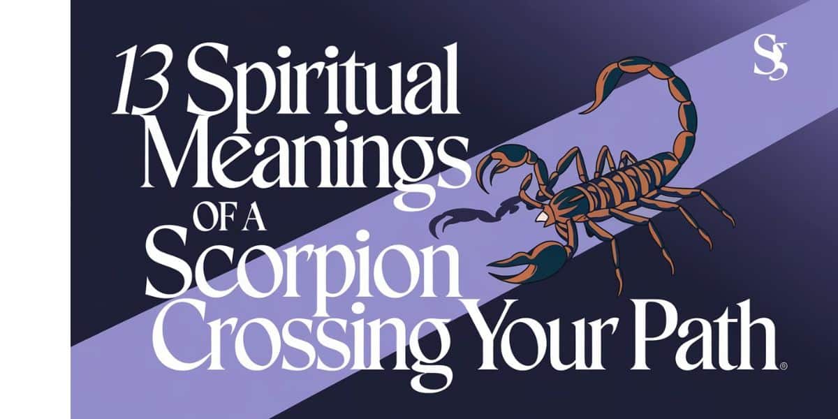 13 Spiritual Meanings of A Scorpion Crossing Your Path