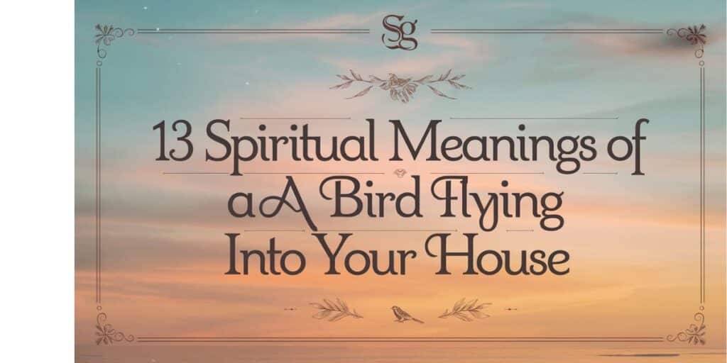 13 Spiritual Meanings of a Bird Flying Into Your House