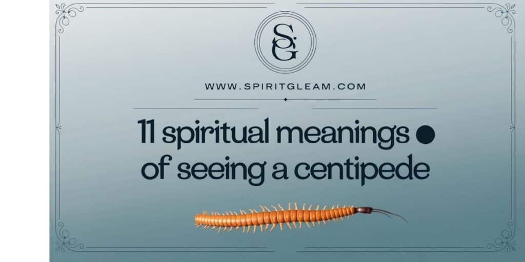 11 Spiritual Meanings of Seeing a Centipede