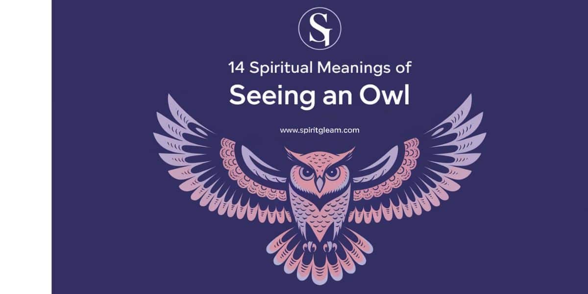 14 Spiritual Meanings of Seeing an Owl