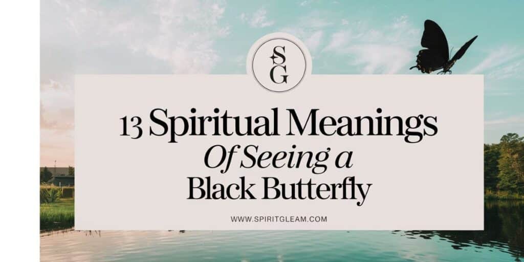 13 Spiritual Meanings of Seeing A Black Butterfly