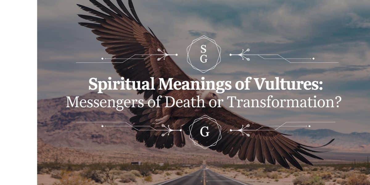 Spiritual Meanings of Vultures: Messengers of Death or Transformation?