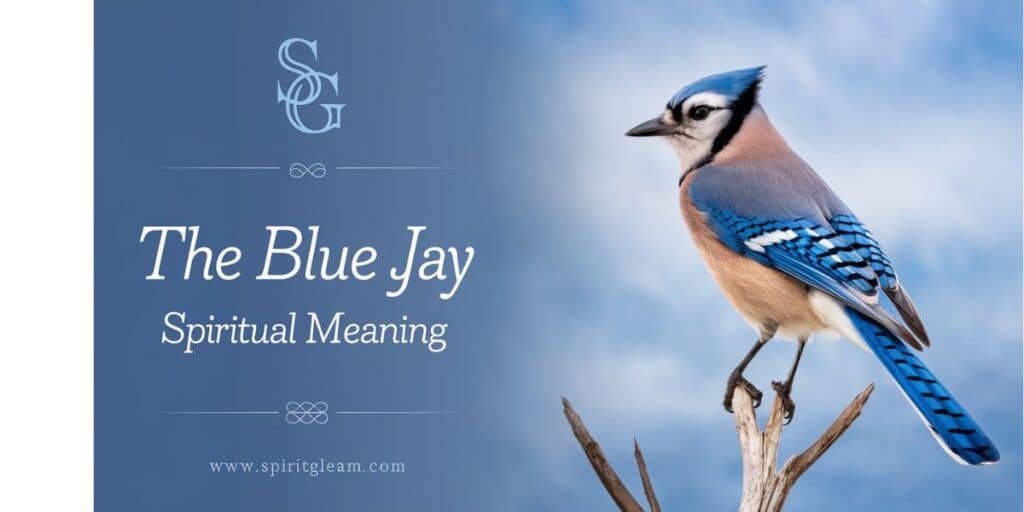 The Blue Jay Spiritual Meaning