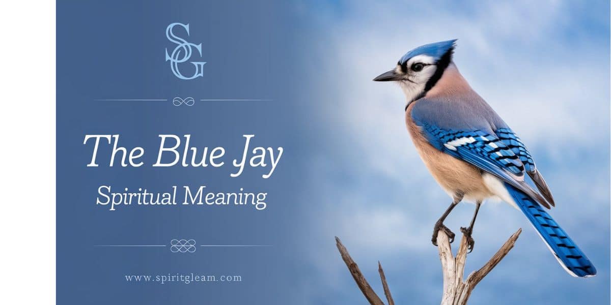 The Blue Jay Spiritual Meaning