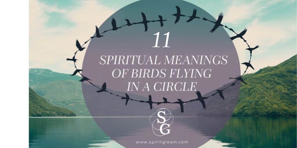 11 Spiritual Meanings of Birds Flying In A Circle