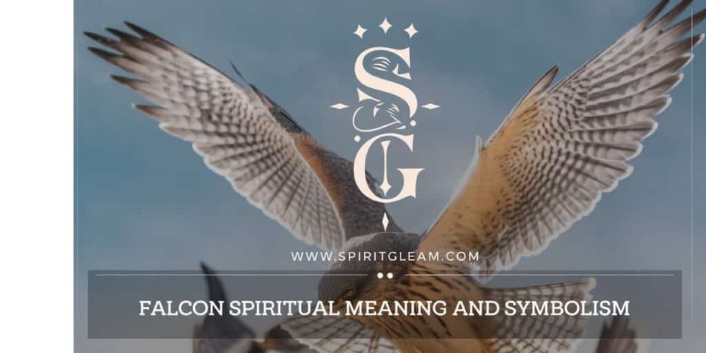 Falcon Spiritual Meaning and Symbolism