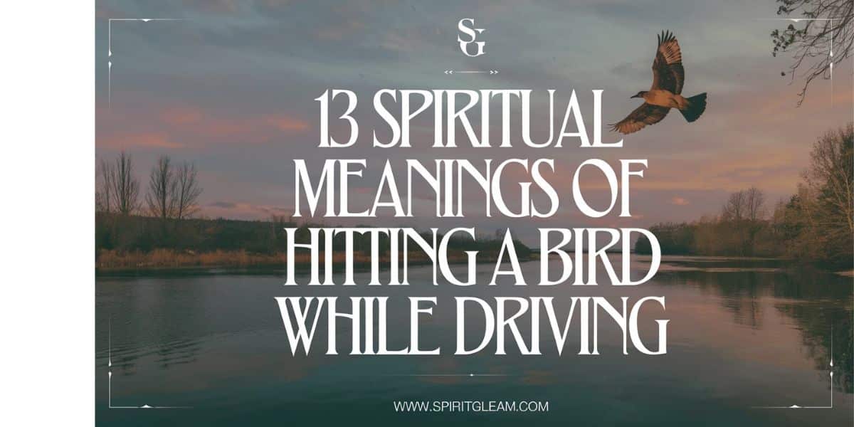 13 Spiritual Meanings Of Hitting A Bird While Driving