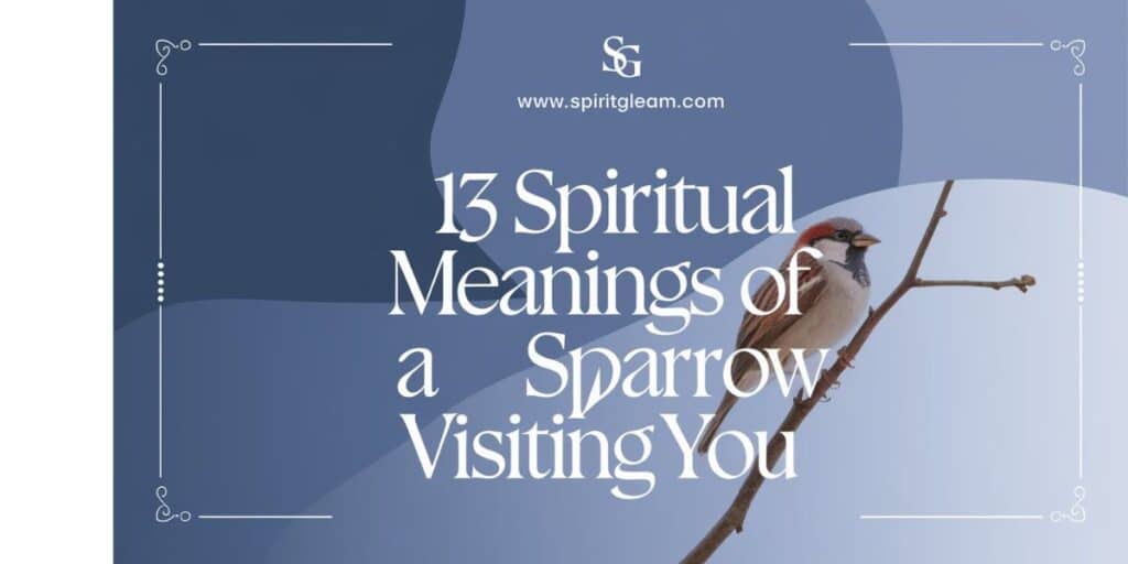 13 Spiritual Meanings of a Sparrow Visiting You