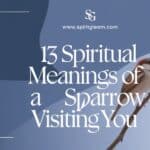 13 Spiritual Meanings of a Sparrow Visiting You