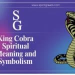 King Cobra Spiritual Meaning and Symbolism