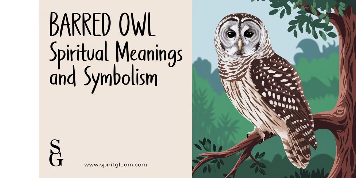 Barred Owl Spiritual Meanings and Symbolism