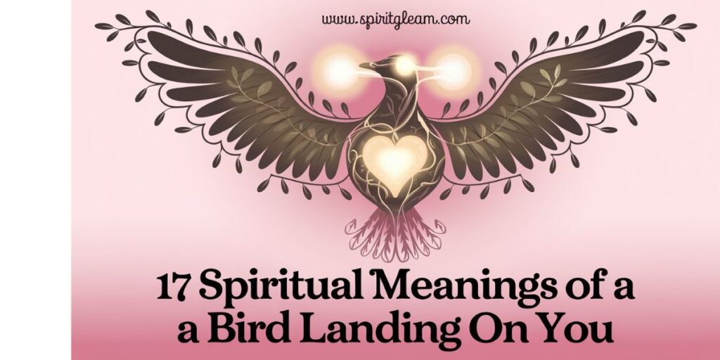 17 Spiritual Meanings Of a Bird Landing On You