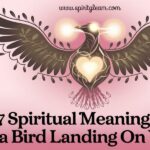 17 Spiritual Meanings Of a Bird Landing On You