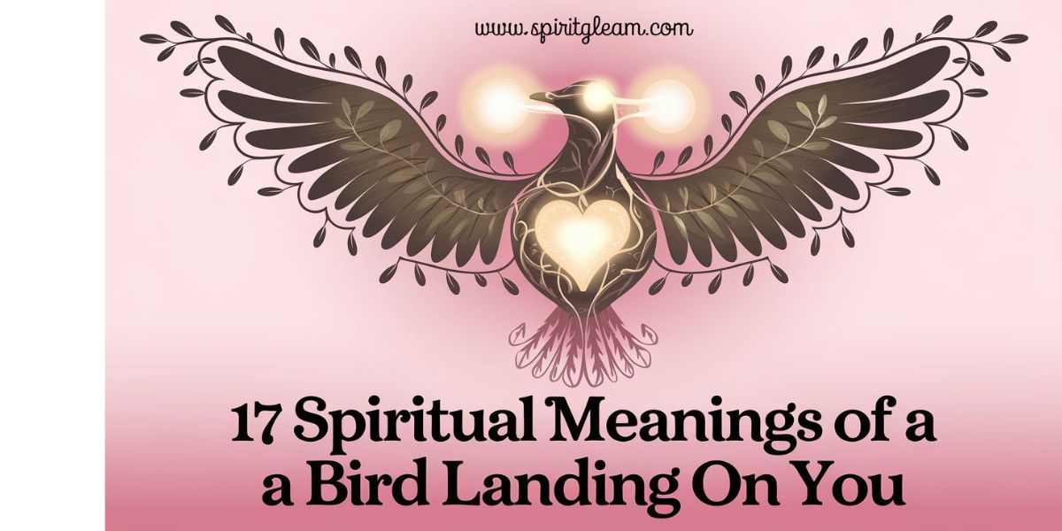 17 Spiritual Meanings Of a Bird Landing On You