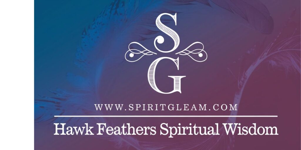 Hawk Feathers Spiritual Wisdom